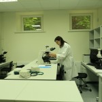 Lietuvoje antrinių metabolitų tyrimuose sausumos ekosistemose specializuojasi Vilniaus universiteto tyrėjai