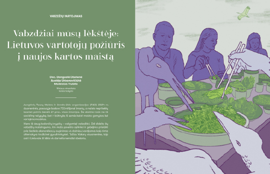 Merkio Žebrausko iliustracija