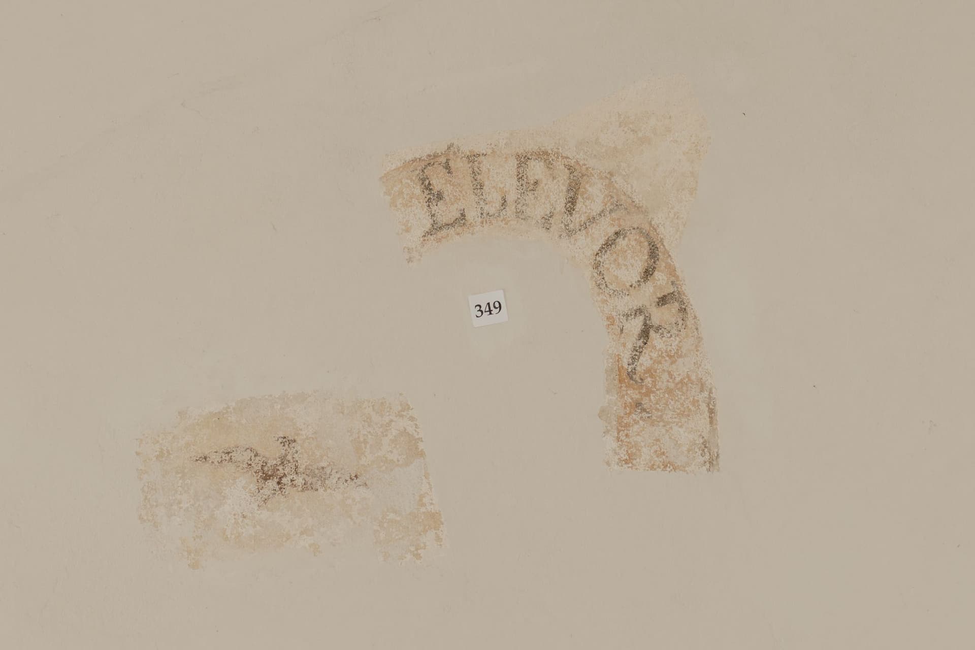 349 elevor.jpg