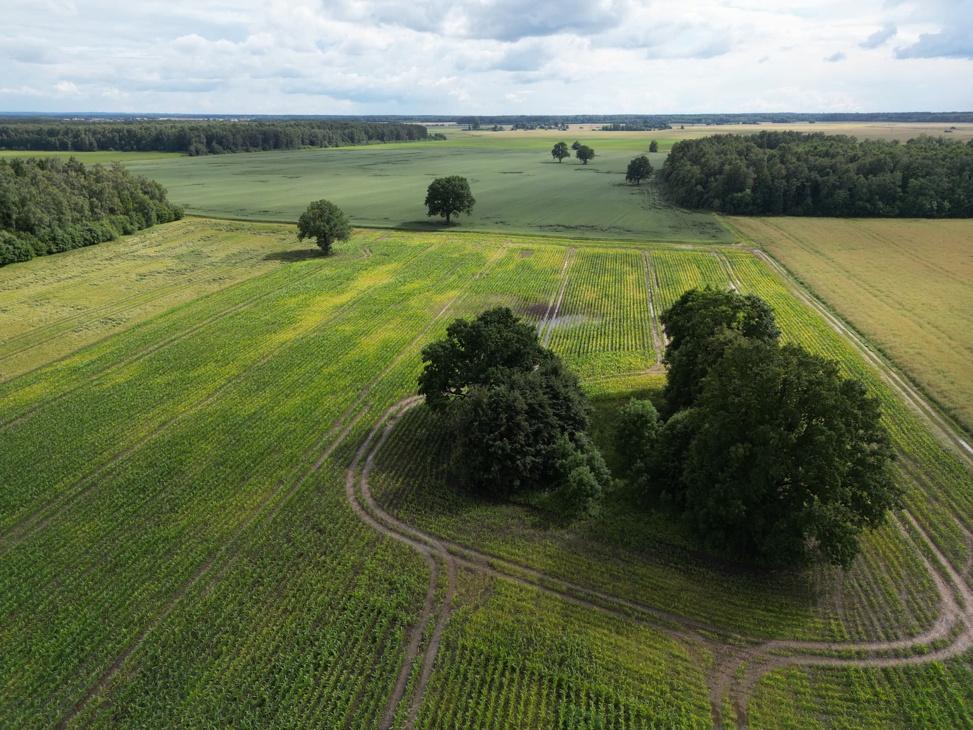 DJI_0710_Ričardas Skorupskas.JPG