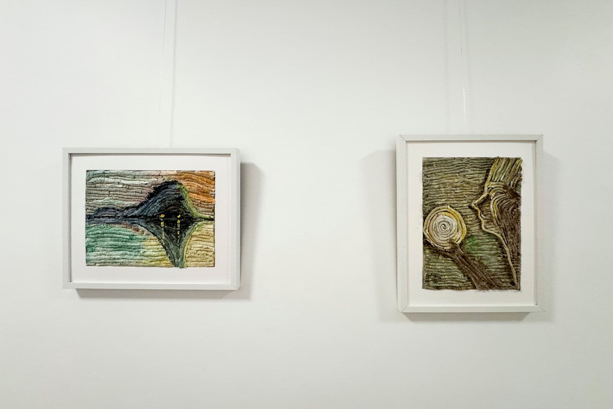 Parodos Čiurlionio įkvėpti VU Medicinos fakultete eksponatai