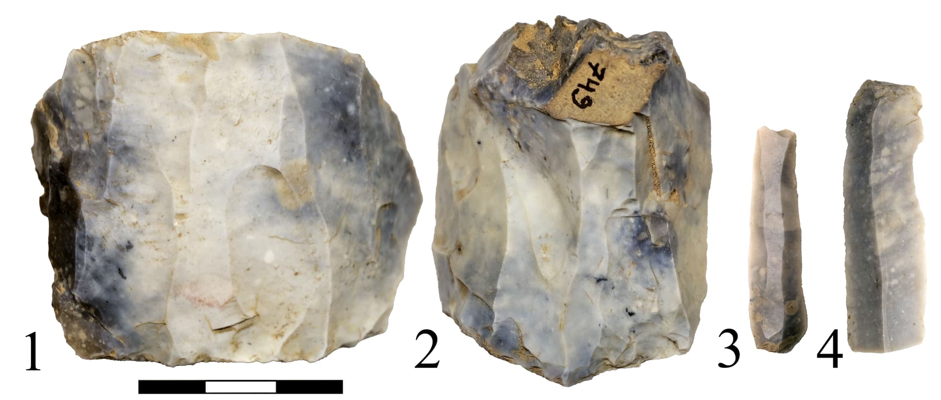 Titnago radiniai.jpg