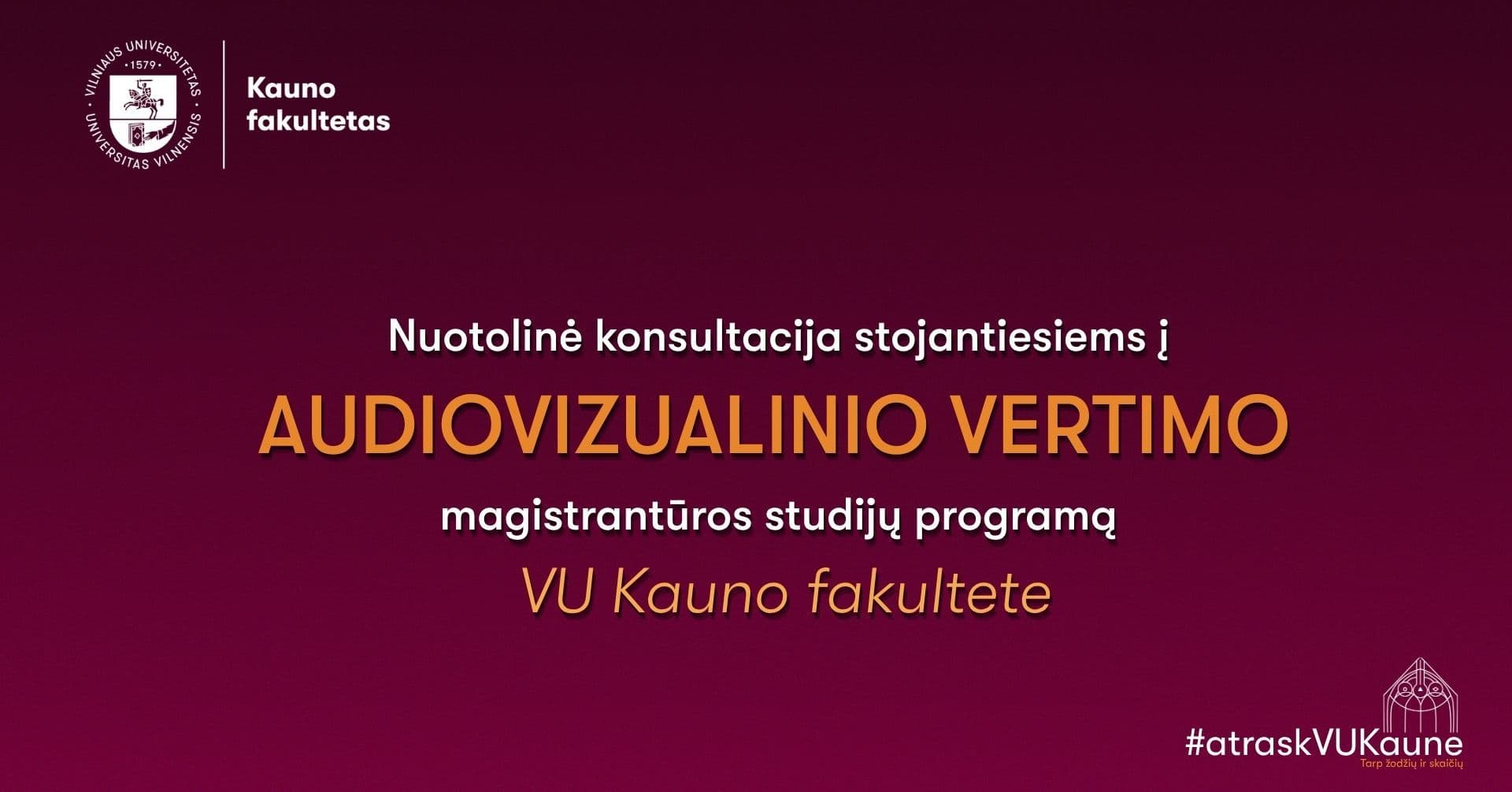 audiovizualinio-vertimo-magistrantura-konsultacija