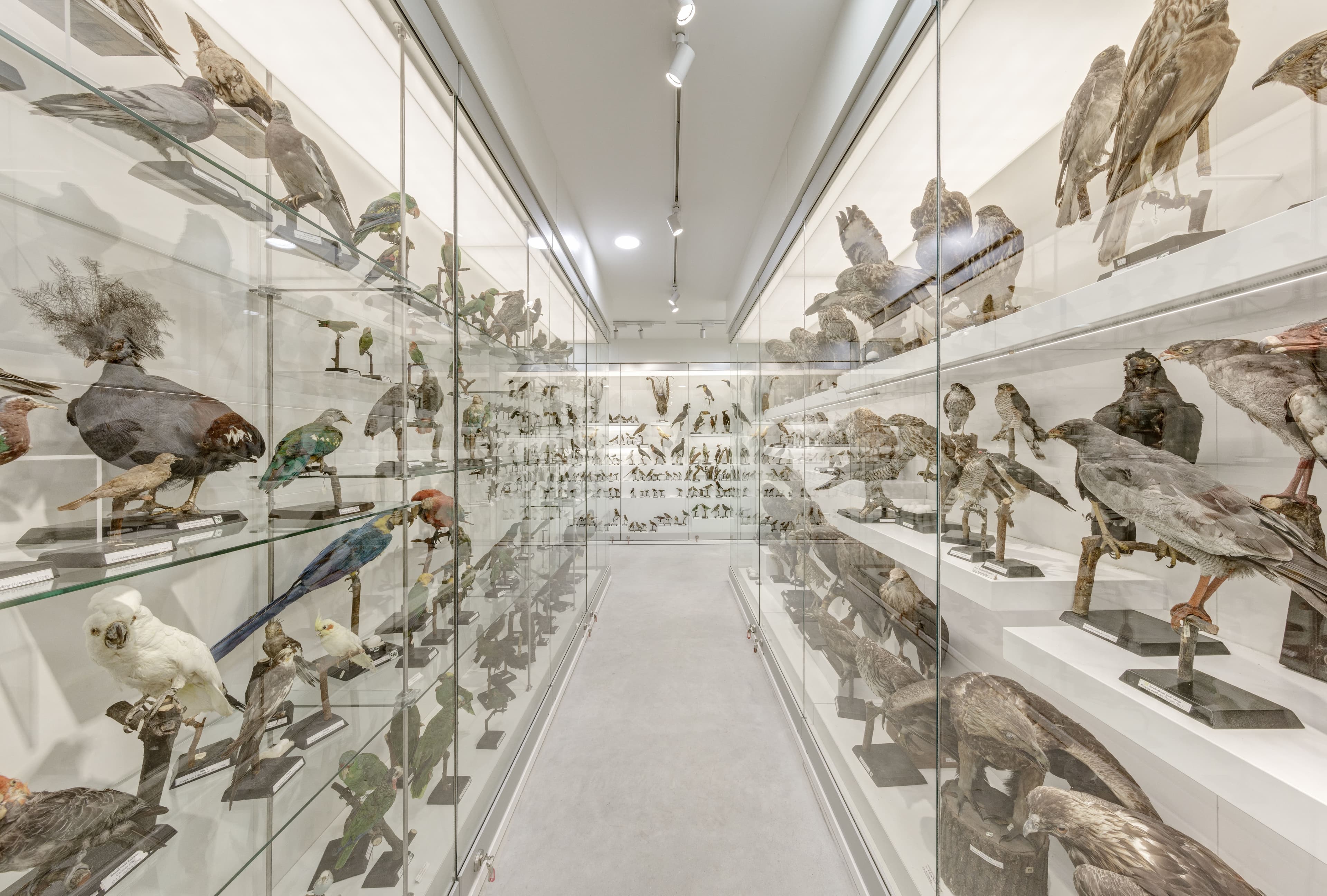 M_GMC_Biologine ivairove.jpg