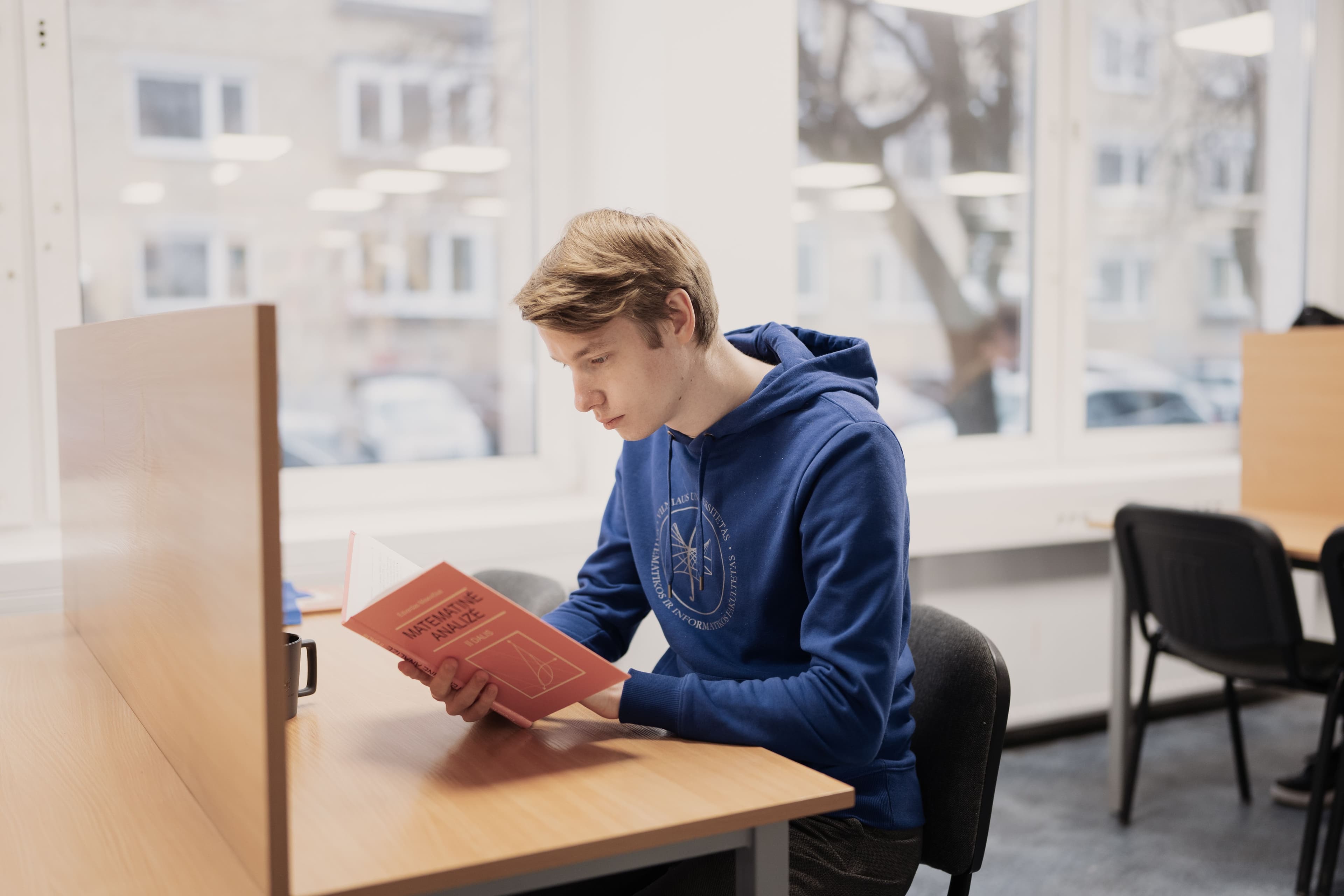 M MIF_progamu sistemos_III.jpg