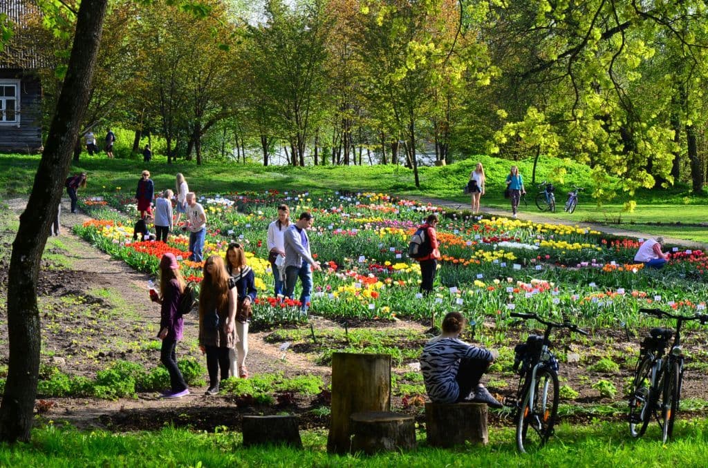 VU Botanikos sodo Vingio parko padalinys