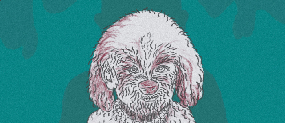 Merkio Žebrausko iliustracija