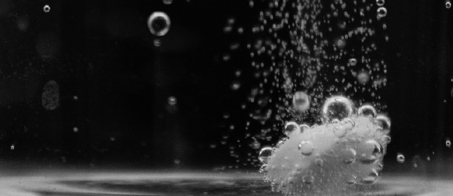 Ugniaus Bagdonavičiaus / VU nuotr.