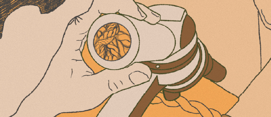 Merkio Žebrausko iliustracija