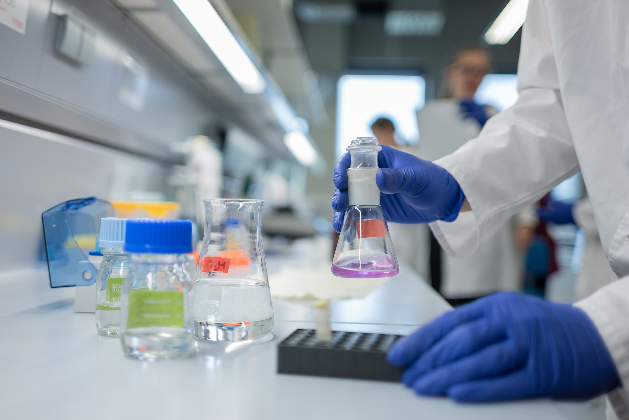 50678845241 8dd9427ca4 k