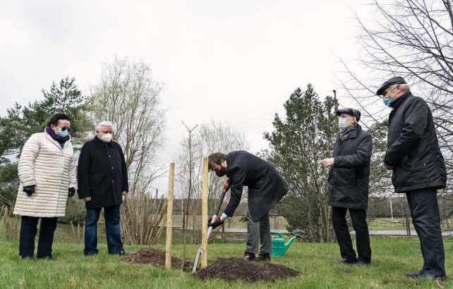 Ąžuoliuko sodinimas prof. Jono Kubiliaus atminimui