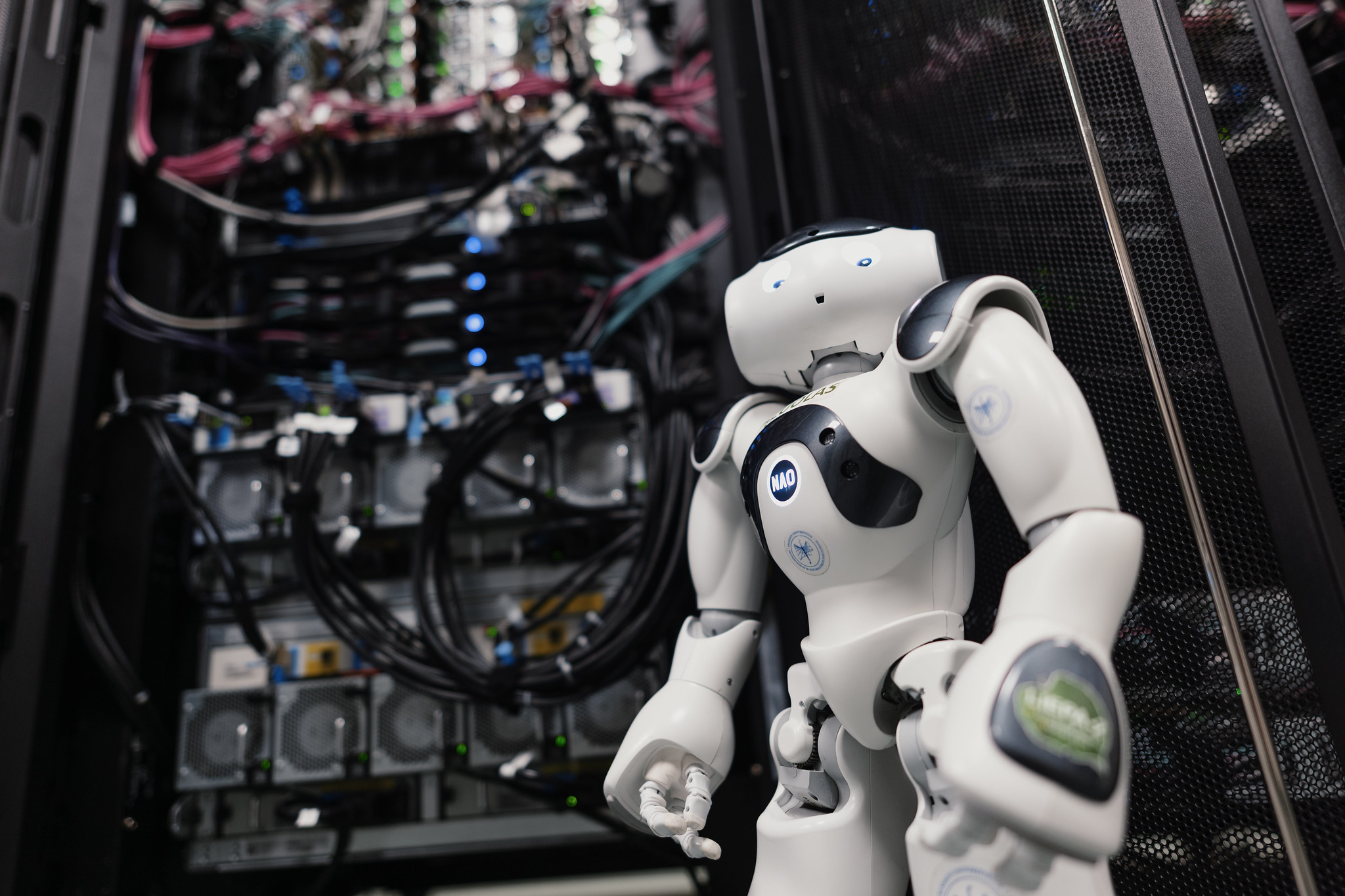 53102431628 718538cd59 k