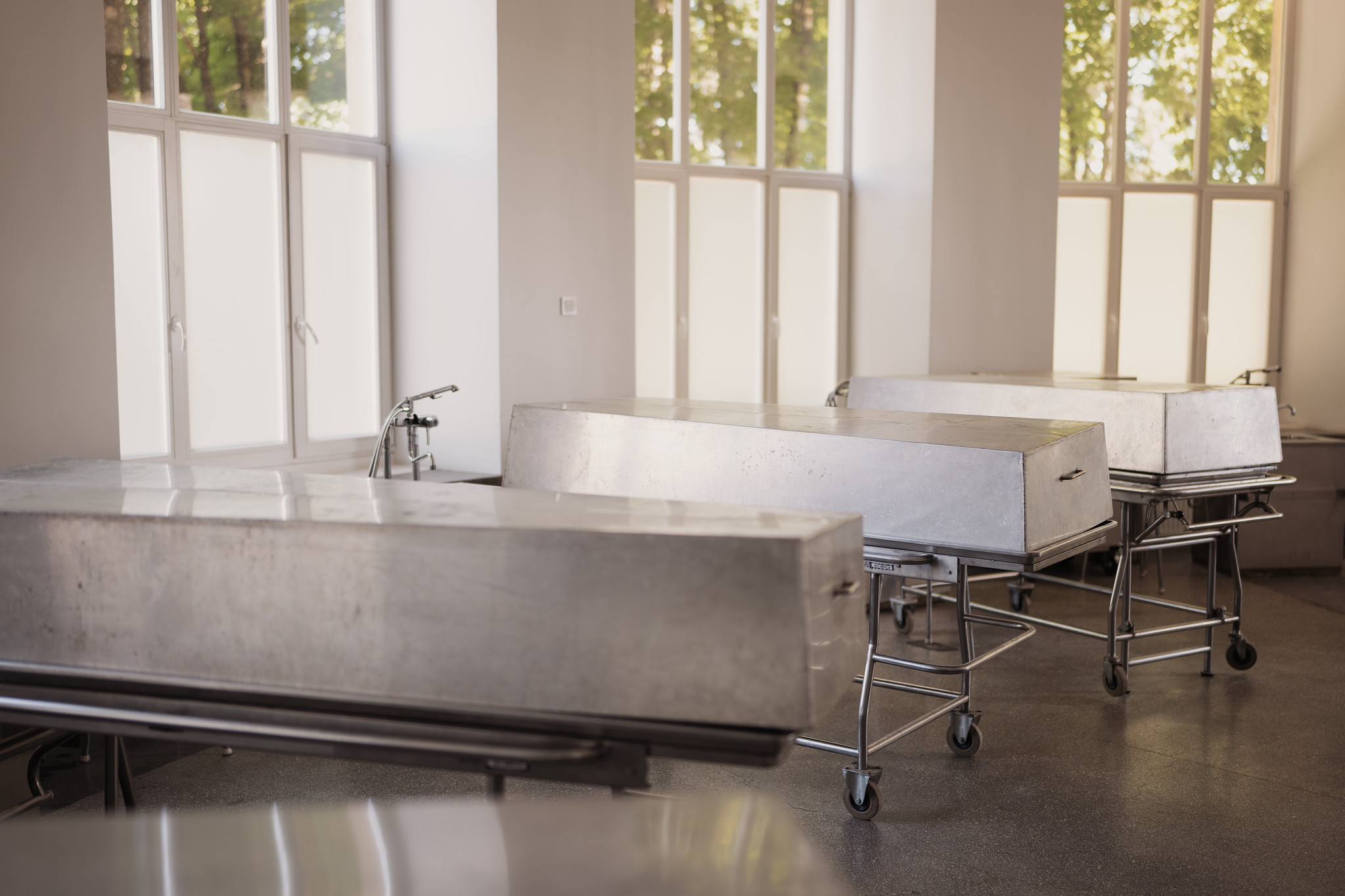 Vilnius University Faculty of Medicine Prosectorium Prozektoriumas