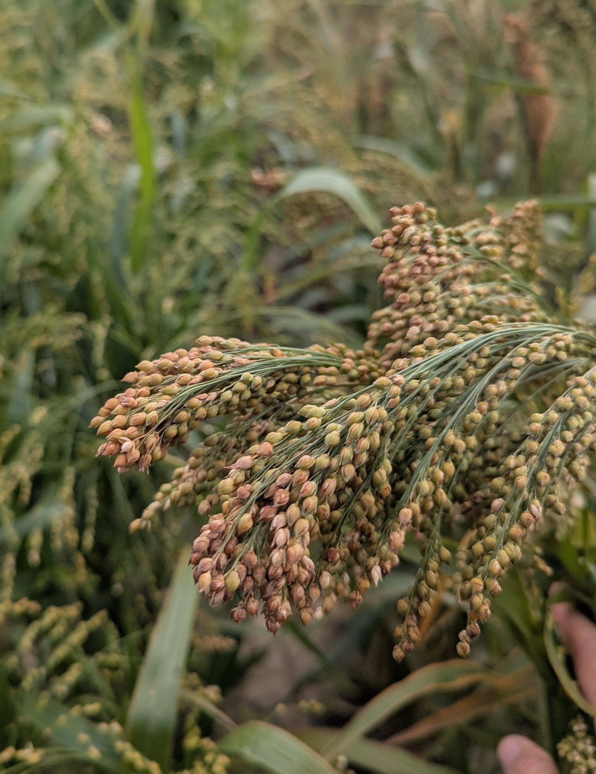 Soros 2 Tyrėjų nuotr