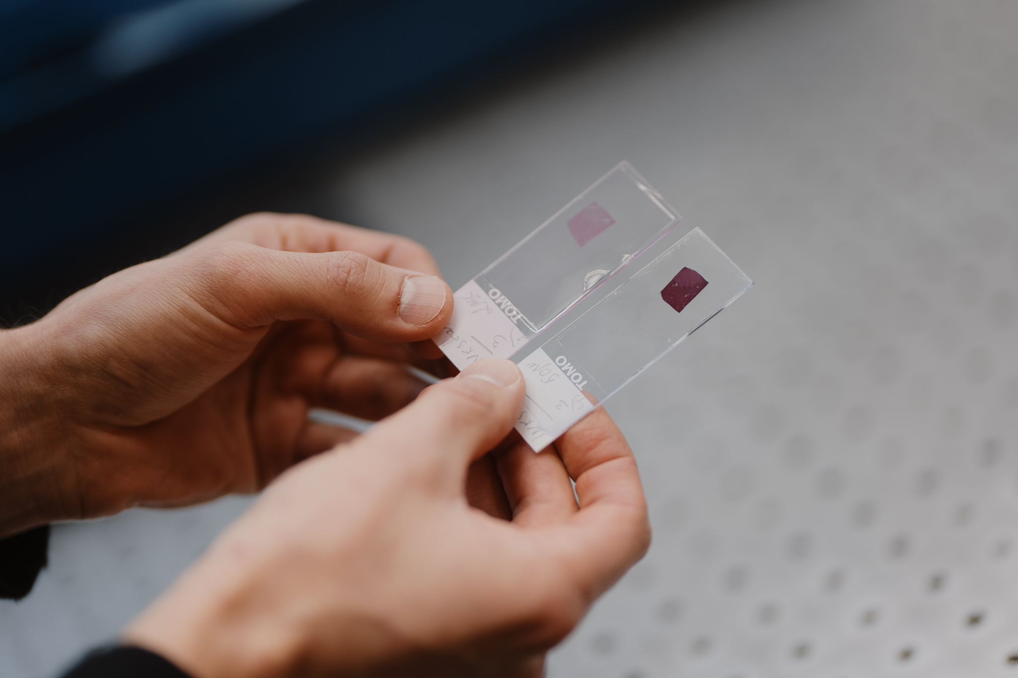 biologinių bandinių nuotrauka