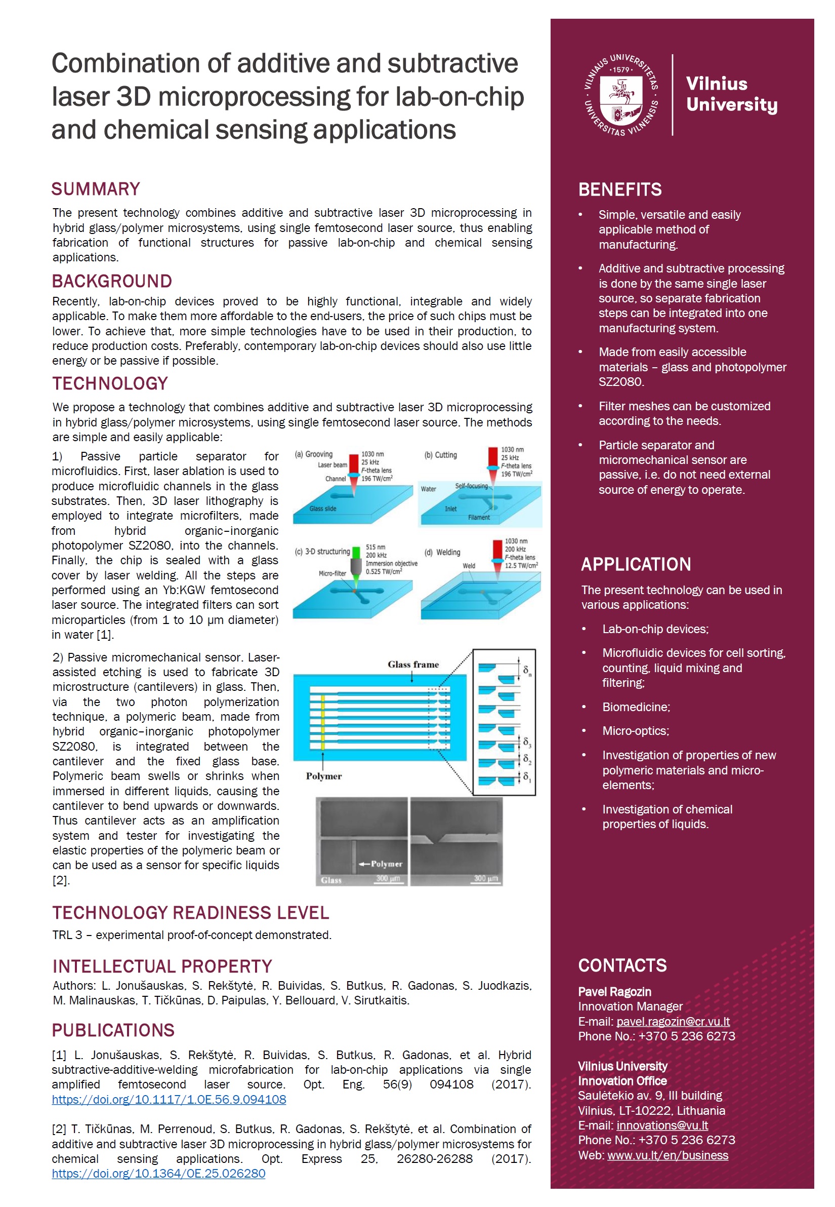 OnePager Hybrid glass polymer micromechanical sensor JPEG