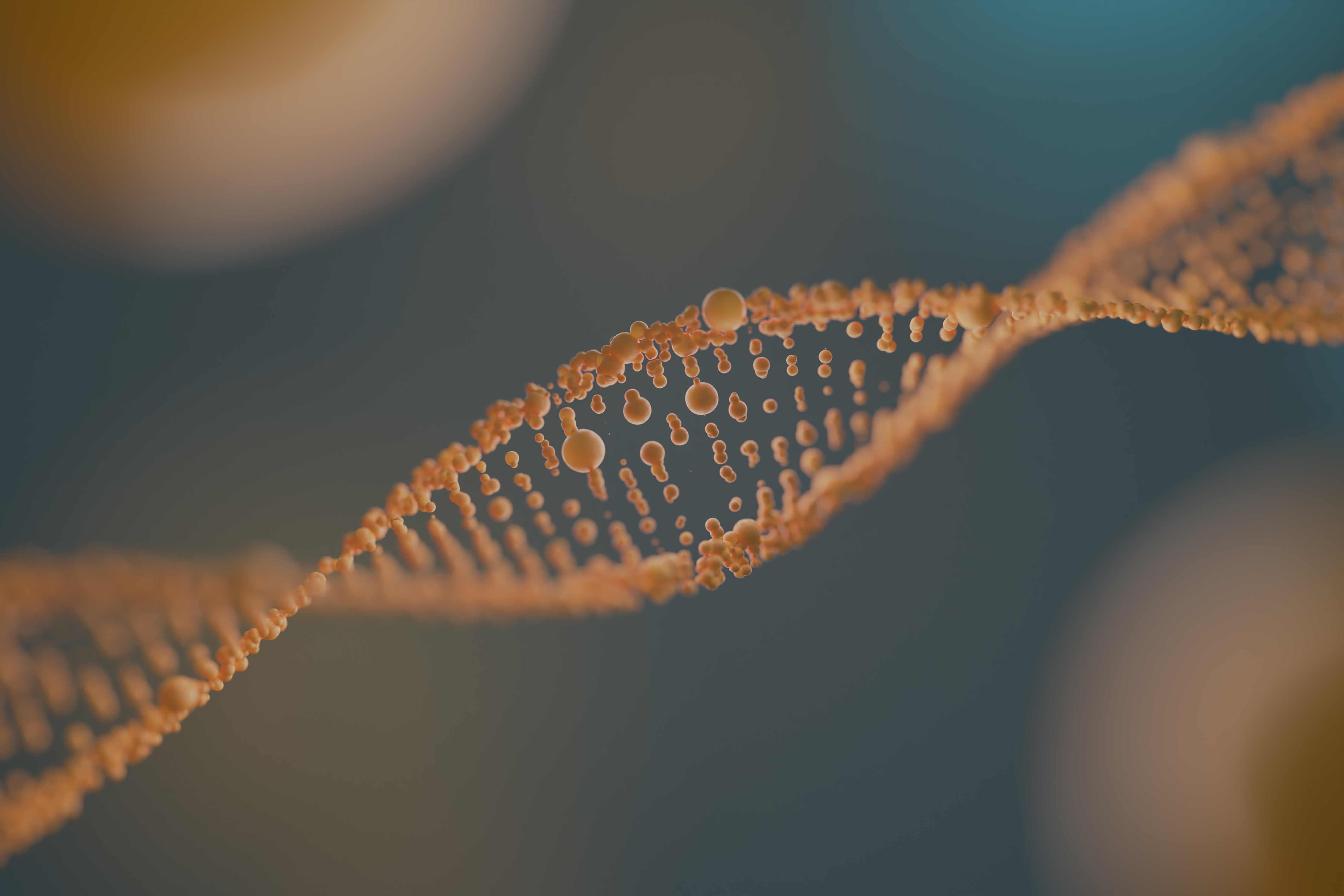 3d representation dna