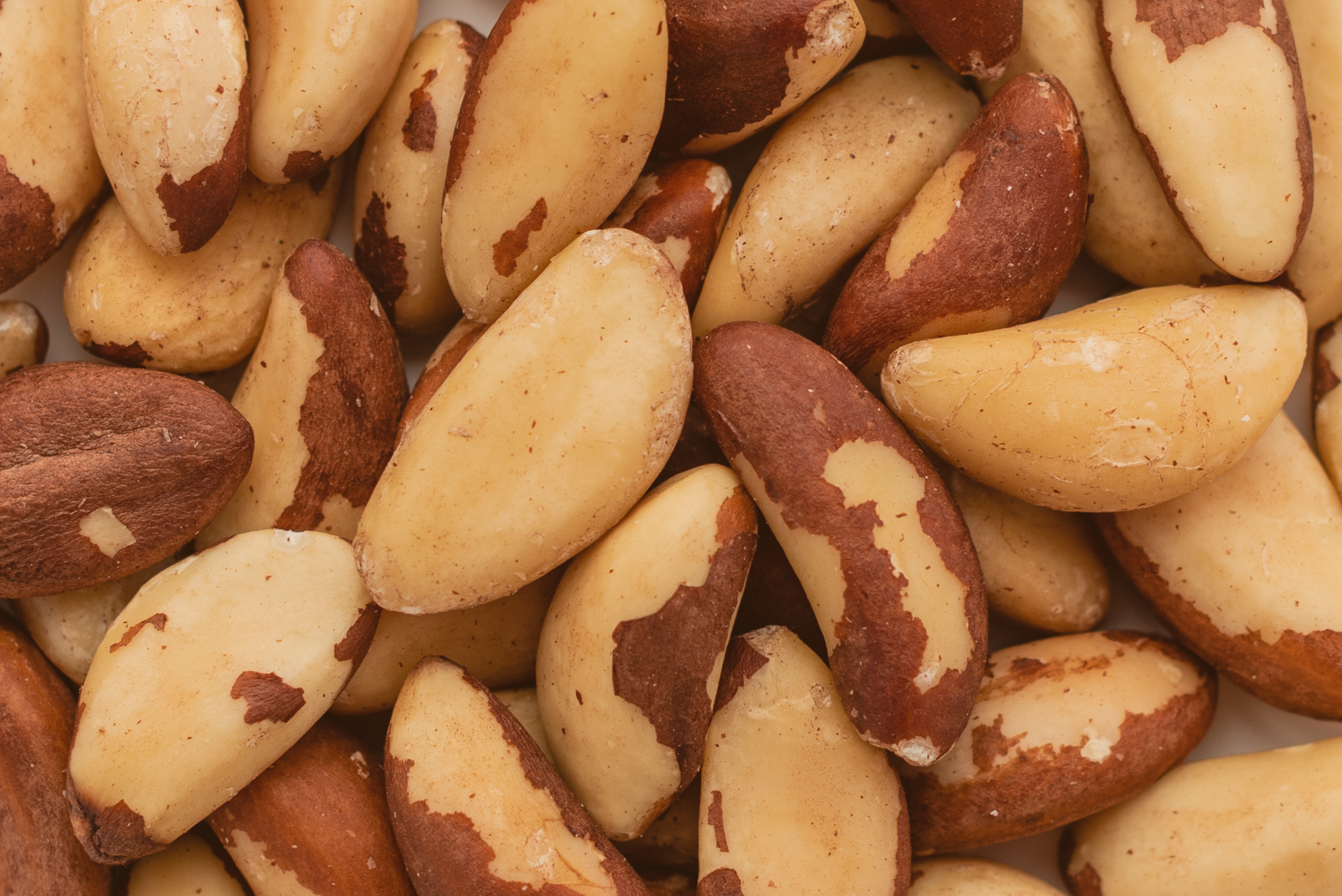 brazil nuts close up breakfast healthy food it can be used as background