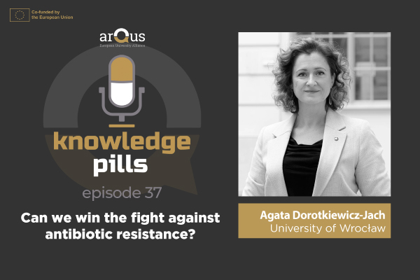 arqus knowledge pills 37 3x2 600