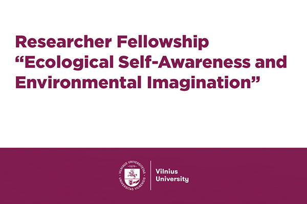 vu researcher fellowship 3x2 600