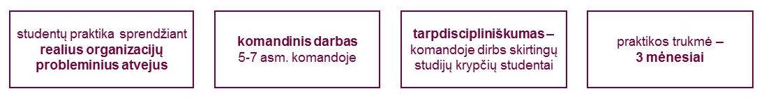 smartpraktika tinklapis2